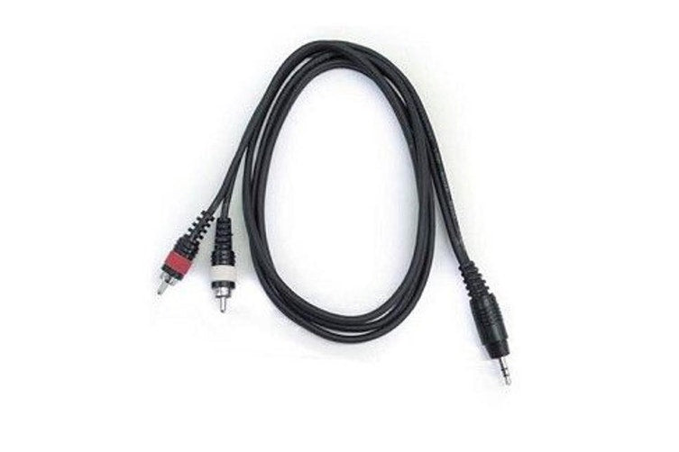 EWI 3.5mm TS Jack To 2 x RCA Jacks 10 Ft