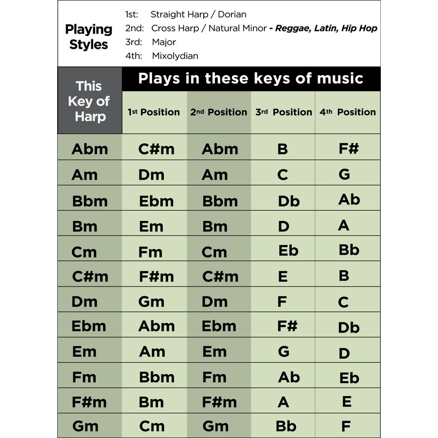 Lee Oskar Natural Minor Harmonica - Key of C minor